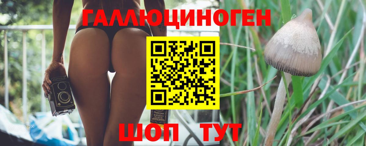 Галлюциногенные грибы MAGIC MUSHROOMS  Вход с VPN  Псилоцибиновые грибы Cubensis  Можга 